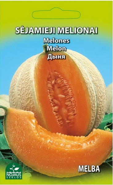 Melone Ananasa
