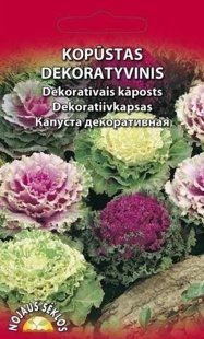 Kāposti dekoratīvie