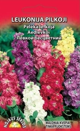 Lefkoja jauktās lielziedu