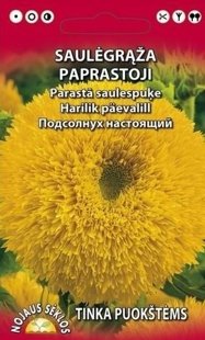 Saulespuķe pildītā, dzeltena 